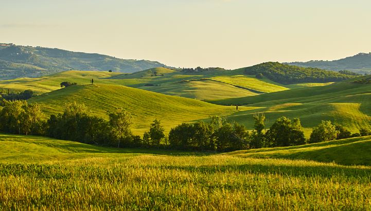 Instilla si aggiudica la gara per la strategia marketing di Manifatture Sigaro Toscano