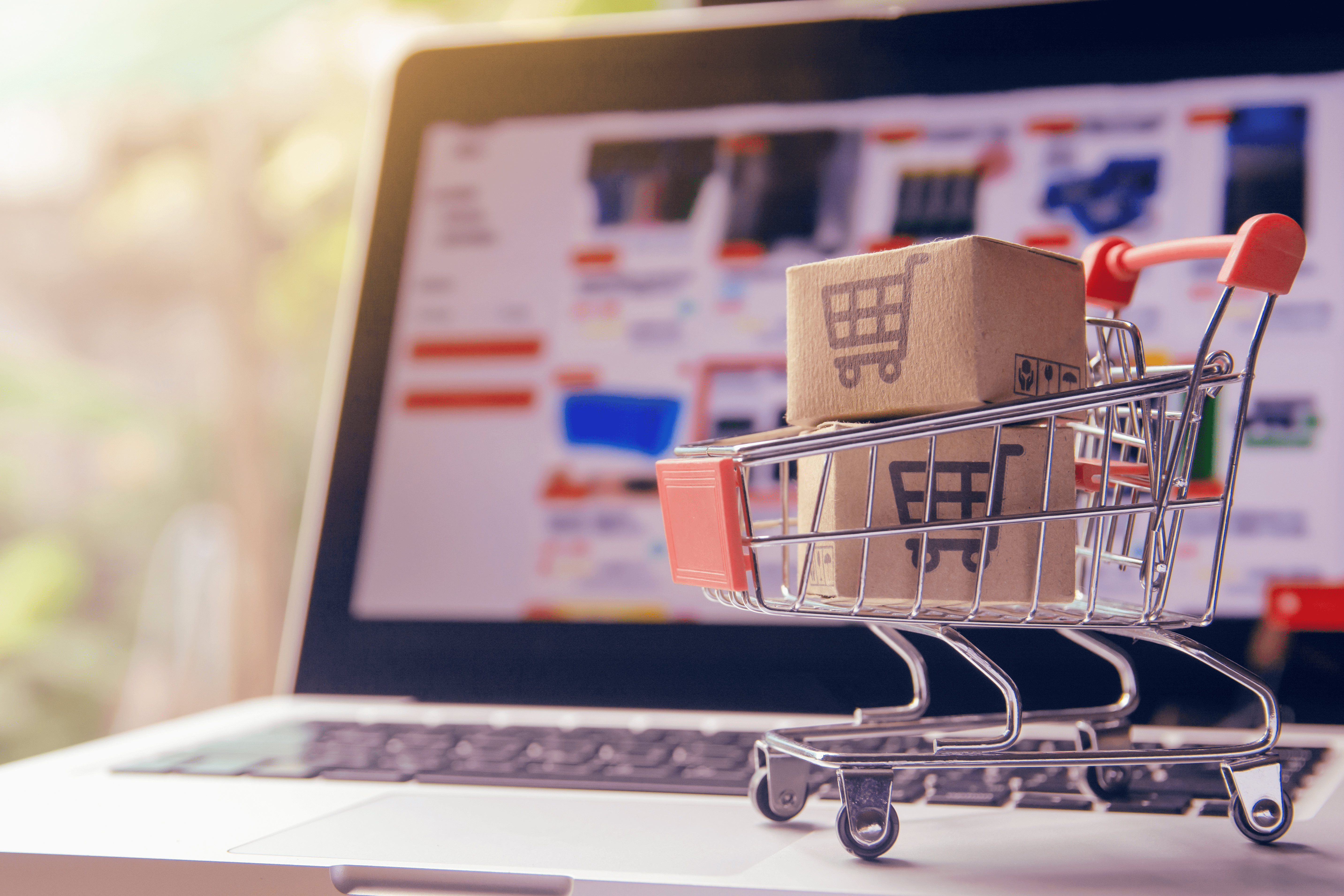 CS Analisi eCommerce Qapla Saldi invernali 2024 andamento